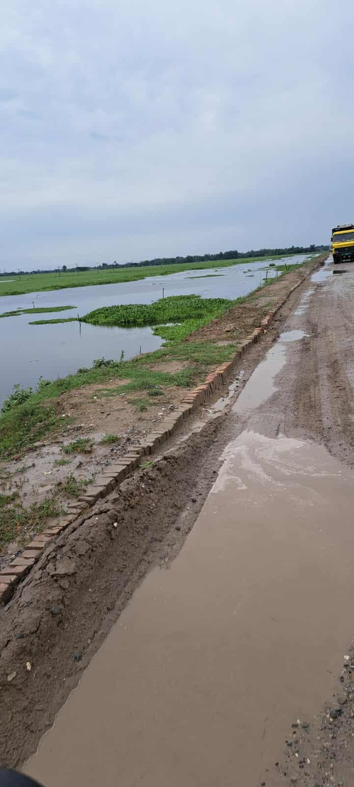 নাটোরের সিংড়ায় সরকারি খাস দিঘি দখল ও পরিবেশ দূষণ: স্থানীয়রা ভোগান্তিতে
