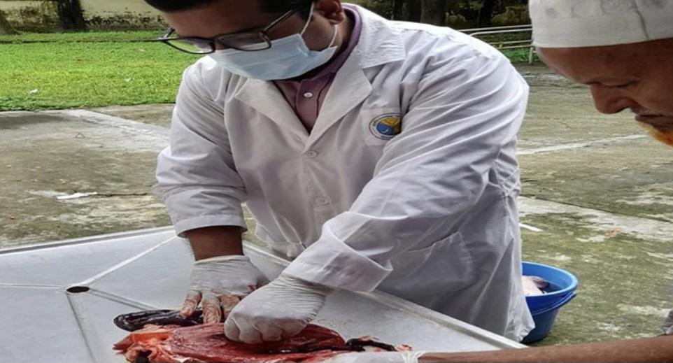বাকেরগঞ্জে পচা মাংস বিক্রির দায়ে কসাইকে ১০ হাজার টাকা জরিমানা
